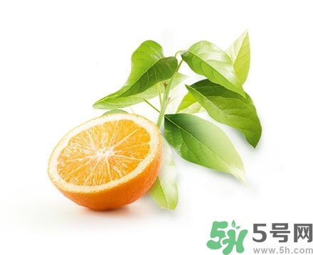 淳萃洗发水好用吗?淳萃洗发水怎么样?